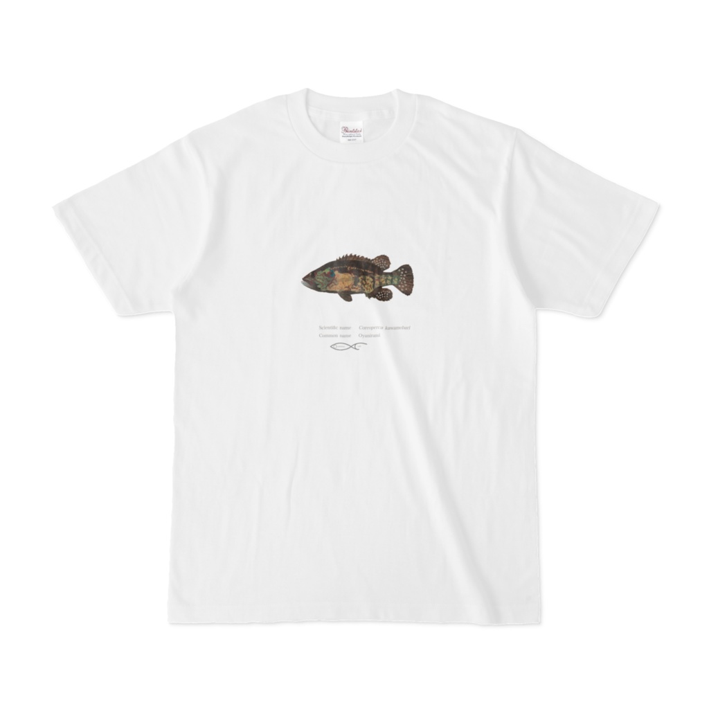 Osakanacraft T-shirt Perciformes Coreoperca kawamebari(Oyanirami)