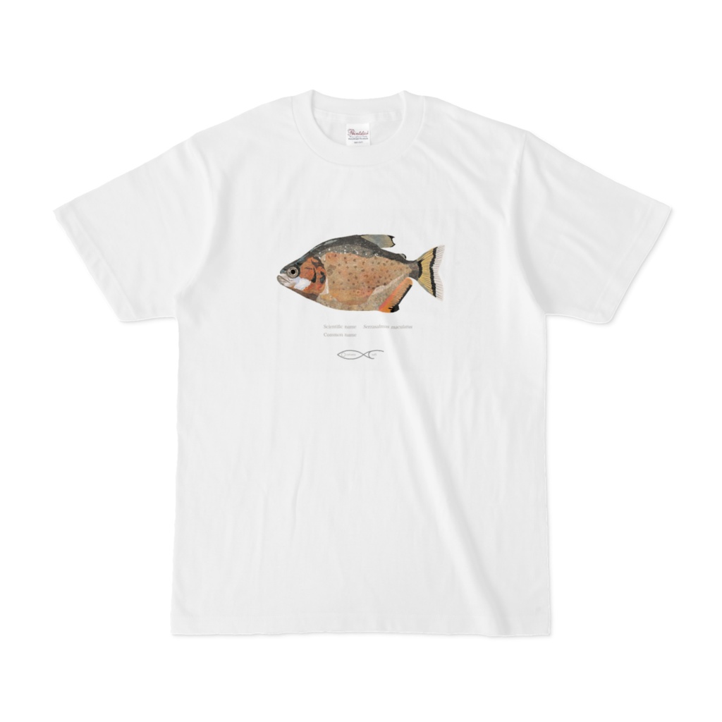 Osakanacraft T-shirt Piranha Serrasalmus maculatus