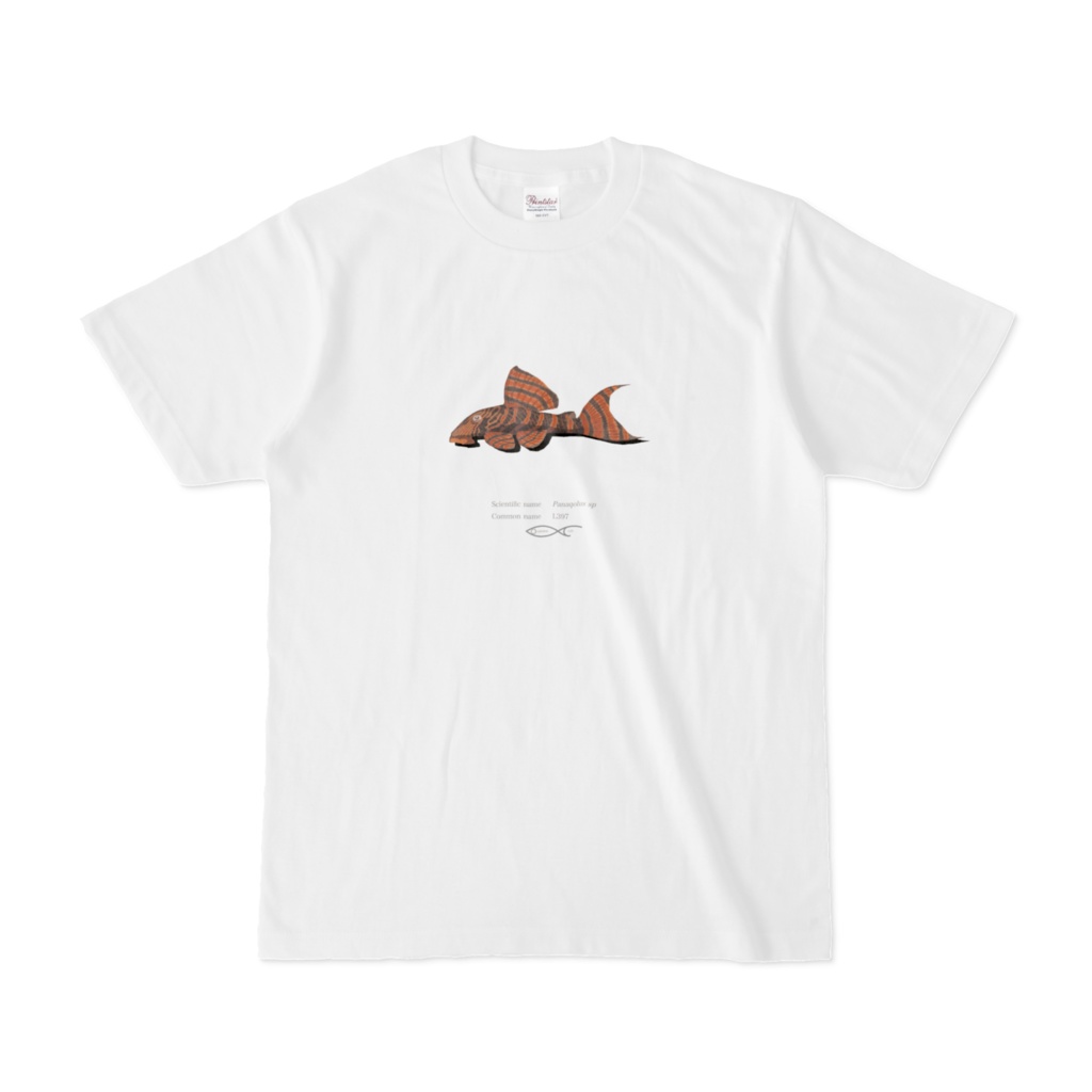 Osakanacraft T-shirt Pleco other Panaqolus sp(L397)