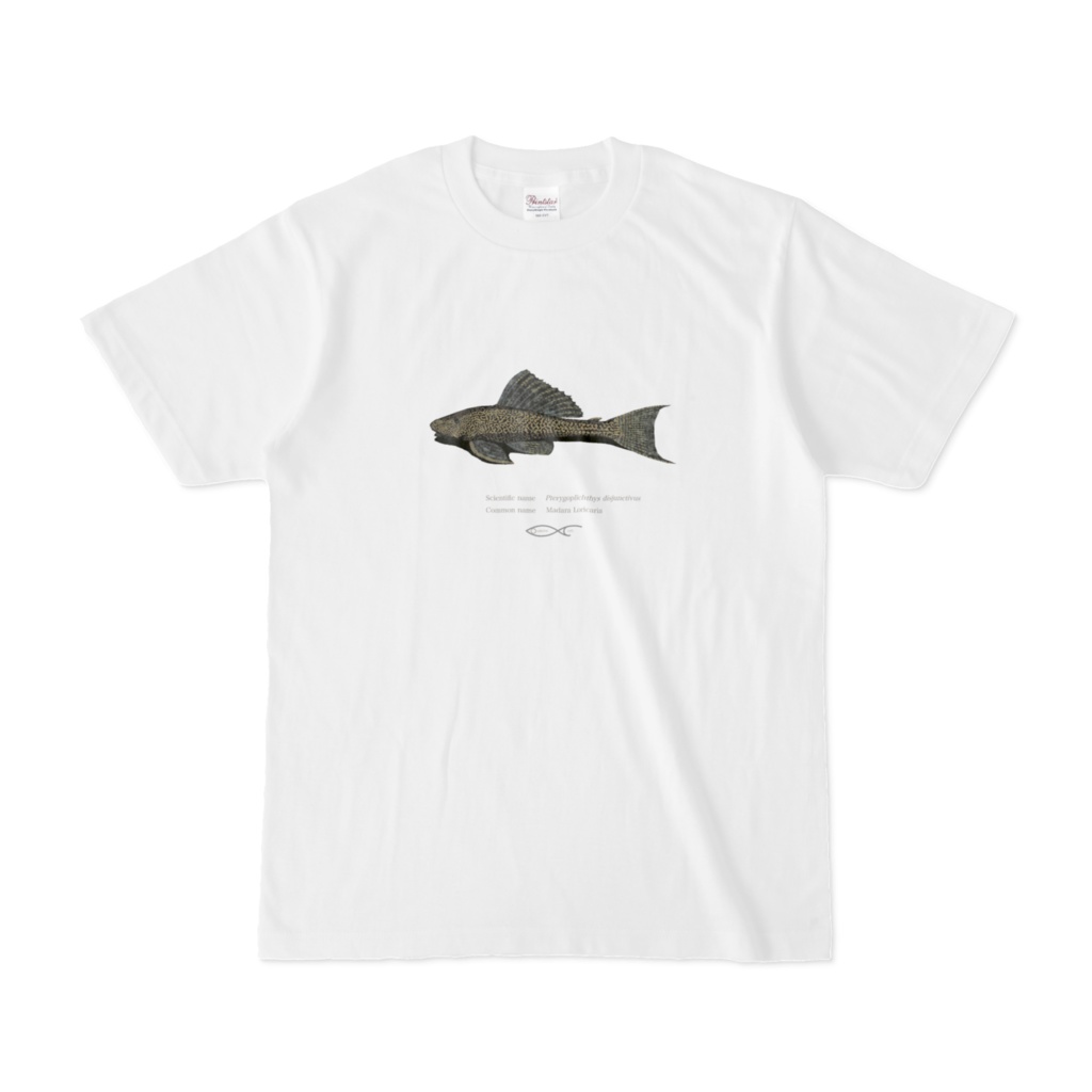 Osakanacraft T-shirt Pleco other Pterygoplichthys disjunctivus(Madara Loricaria)