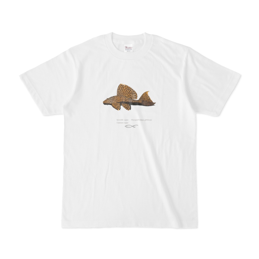 Osakanacraft T-shirt Pleco other Pterygoplichthys gibbiceps