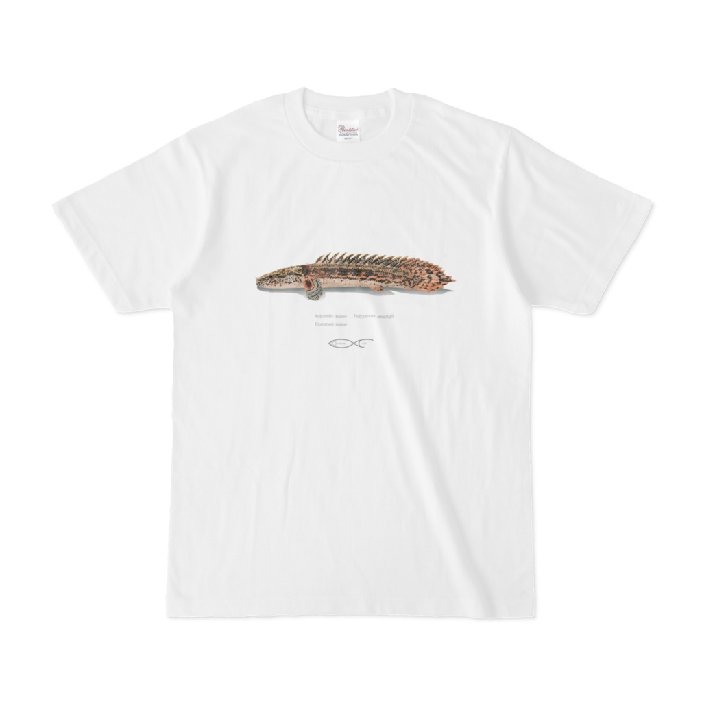 Osakanacraft T-shirt Polypterus Polypterus ansorgii