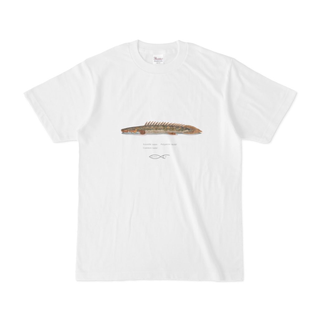 Osakanacraft T-shirt Polypterus Polypterus bichir