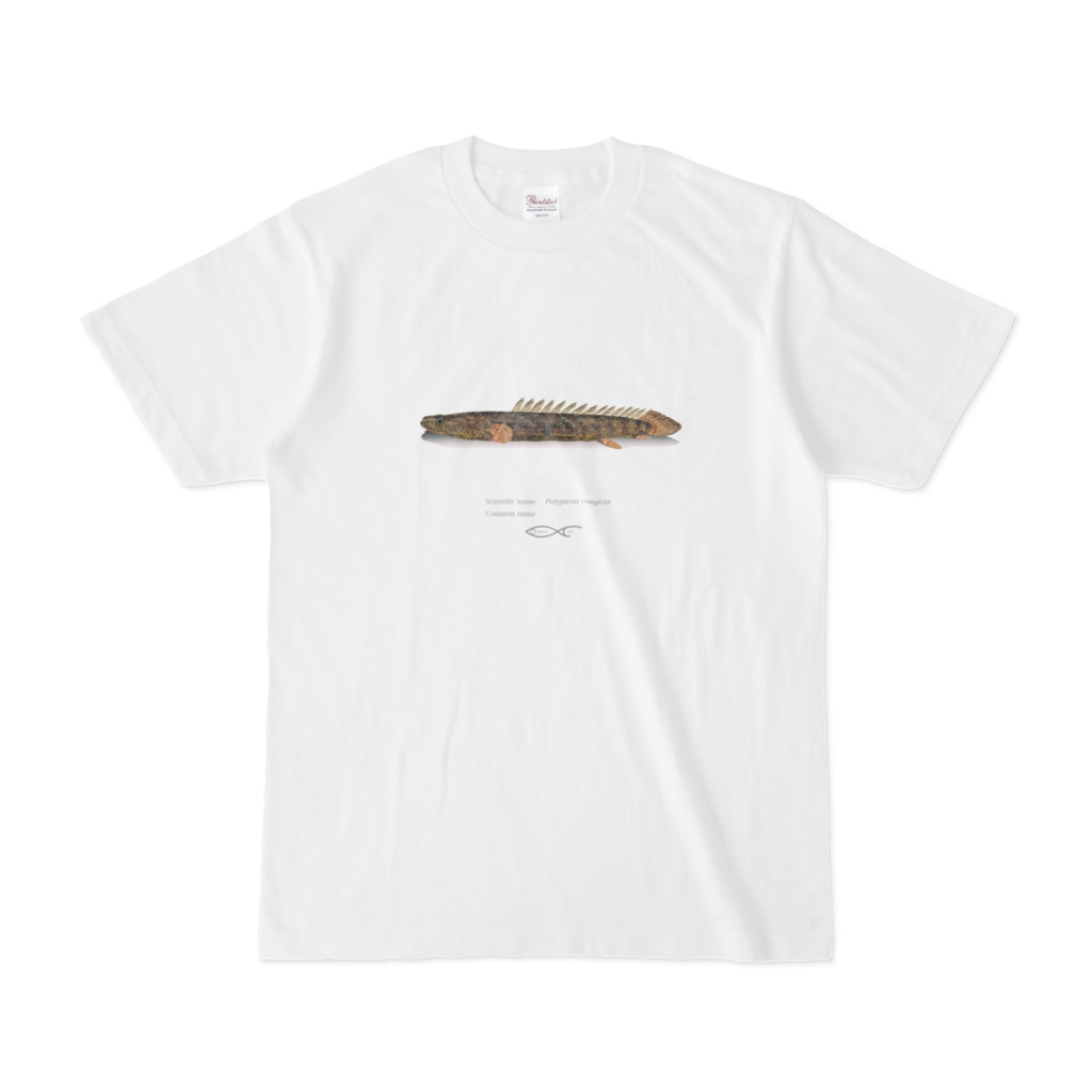 Osakanacraft T-shirt Polypterus Polypterus congicus