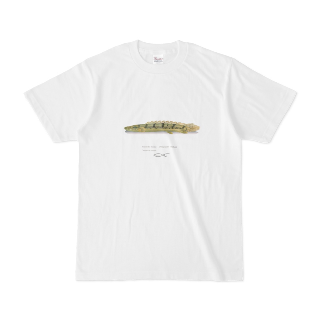 Osakanacraft T-shirt Polypterus Polypterus delhezi