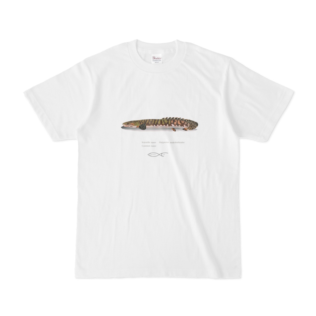 Osakanacraft T-shirt Polypterus Polypterus mokelembembe