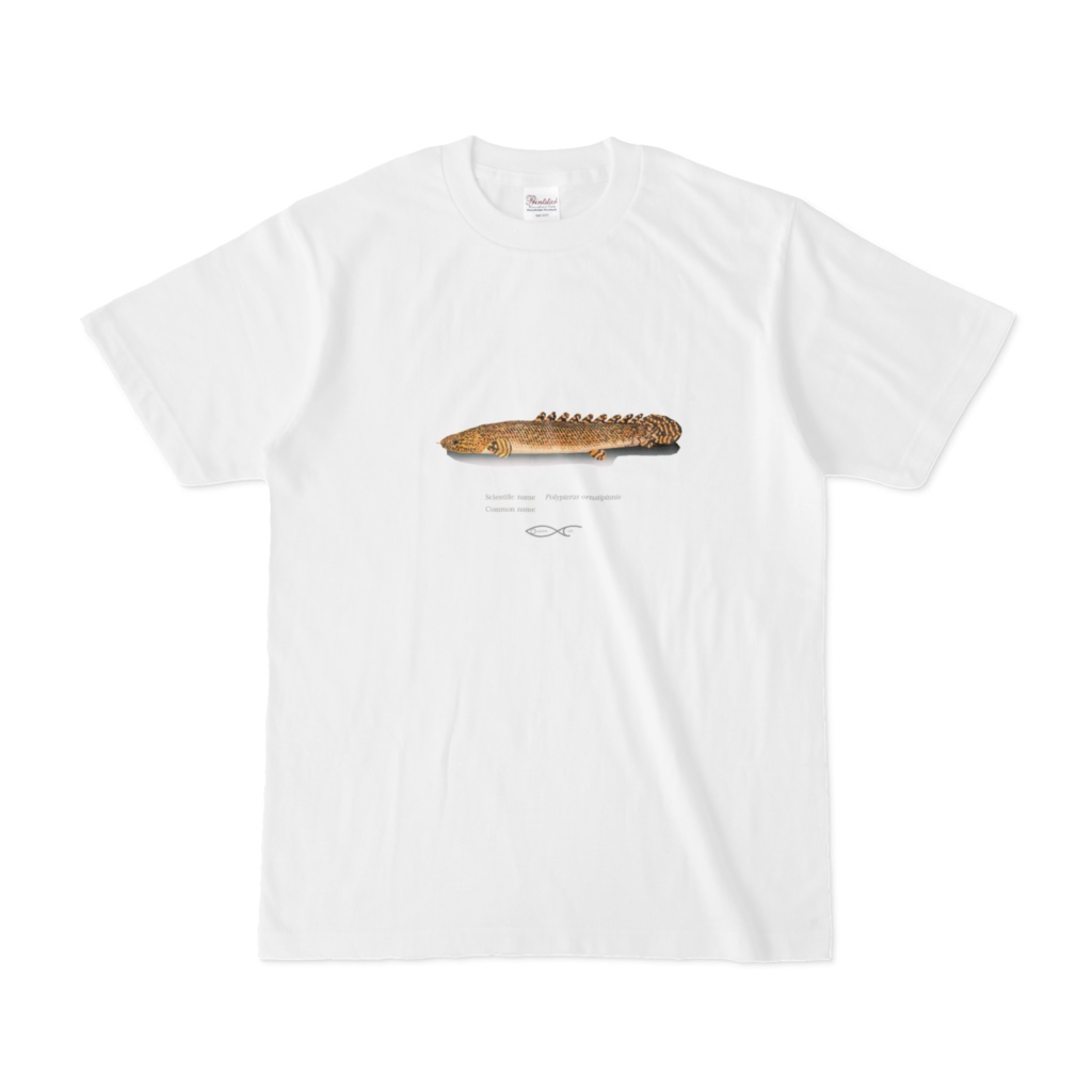 Osakanacraft T-shirt Polypterus Polypterus ornatipinnis