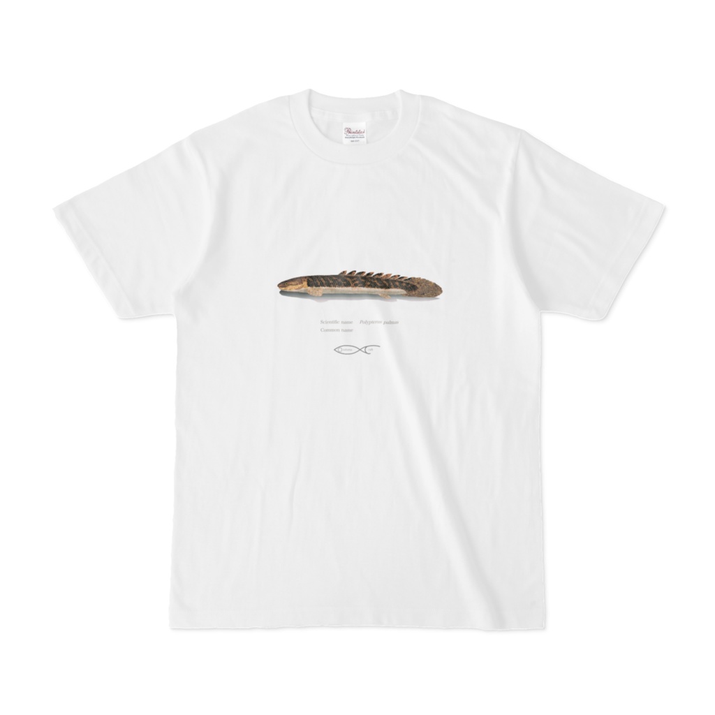 Osakanacraft T-shirt Polypterus Polypterus palmas