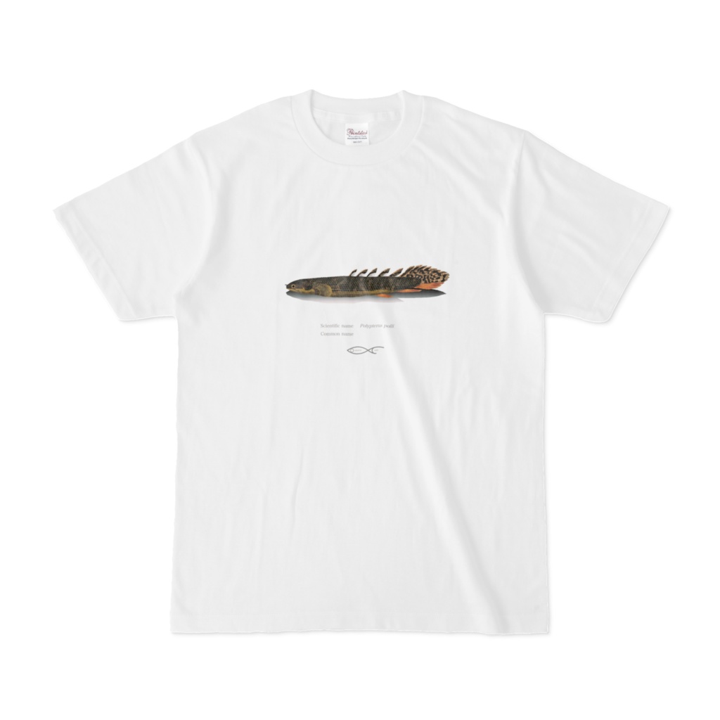 Osakanacraft T-shirt Polypterus Polypterus polli