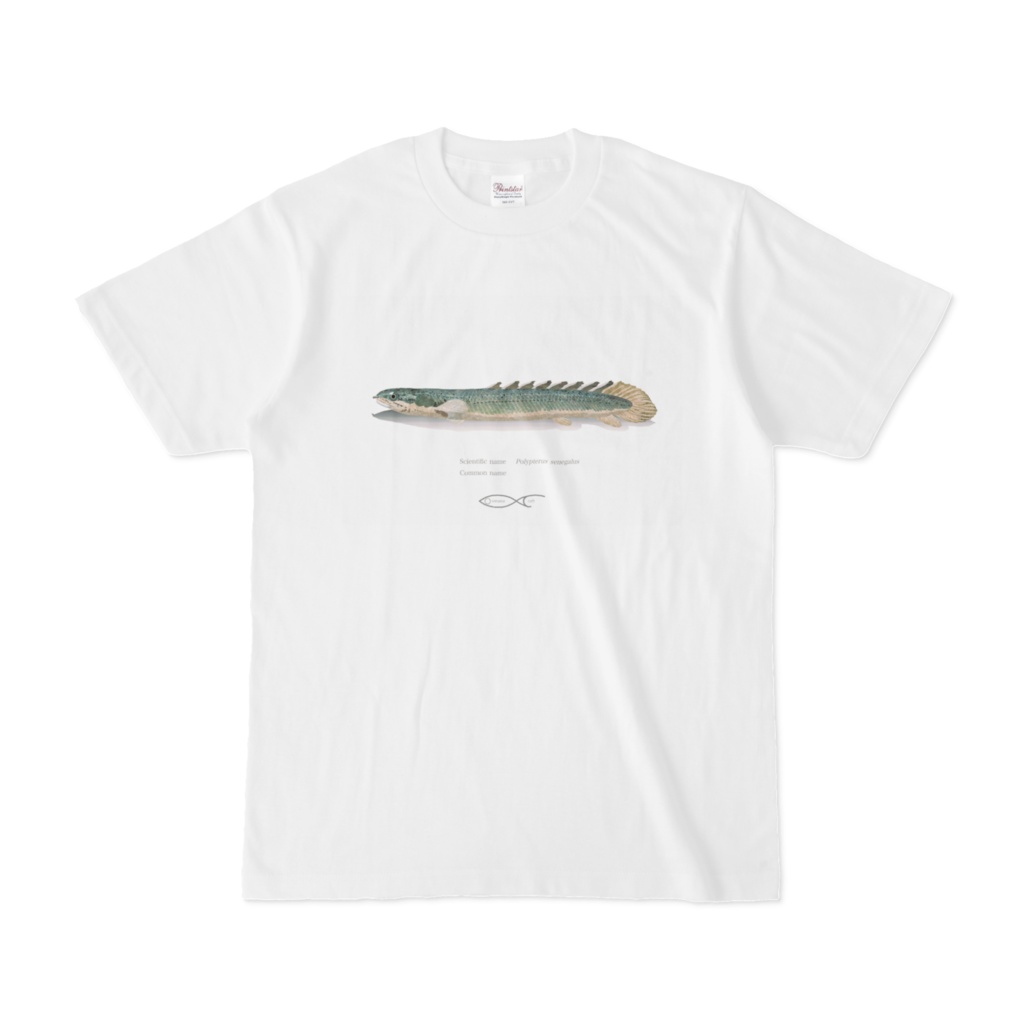 Osakanacraft T-shirt Polypterus Polypterus senegalus