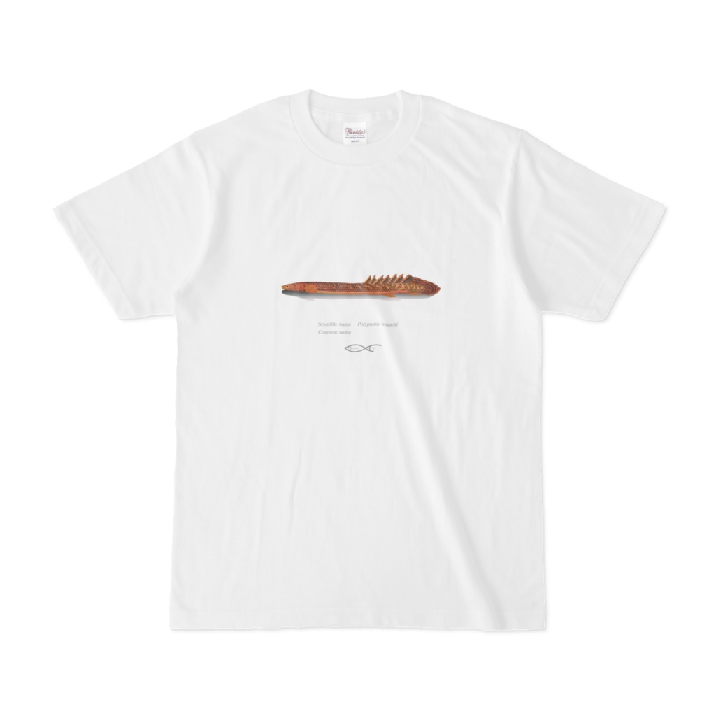 Osakanacraft T-shirt Polypterus Polypterus teugelsi