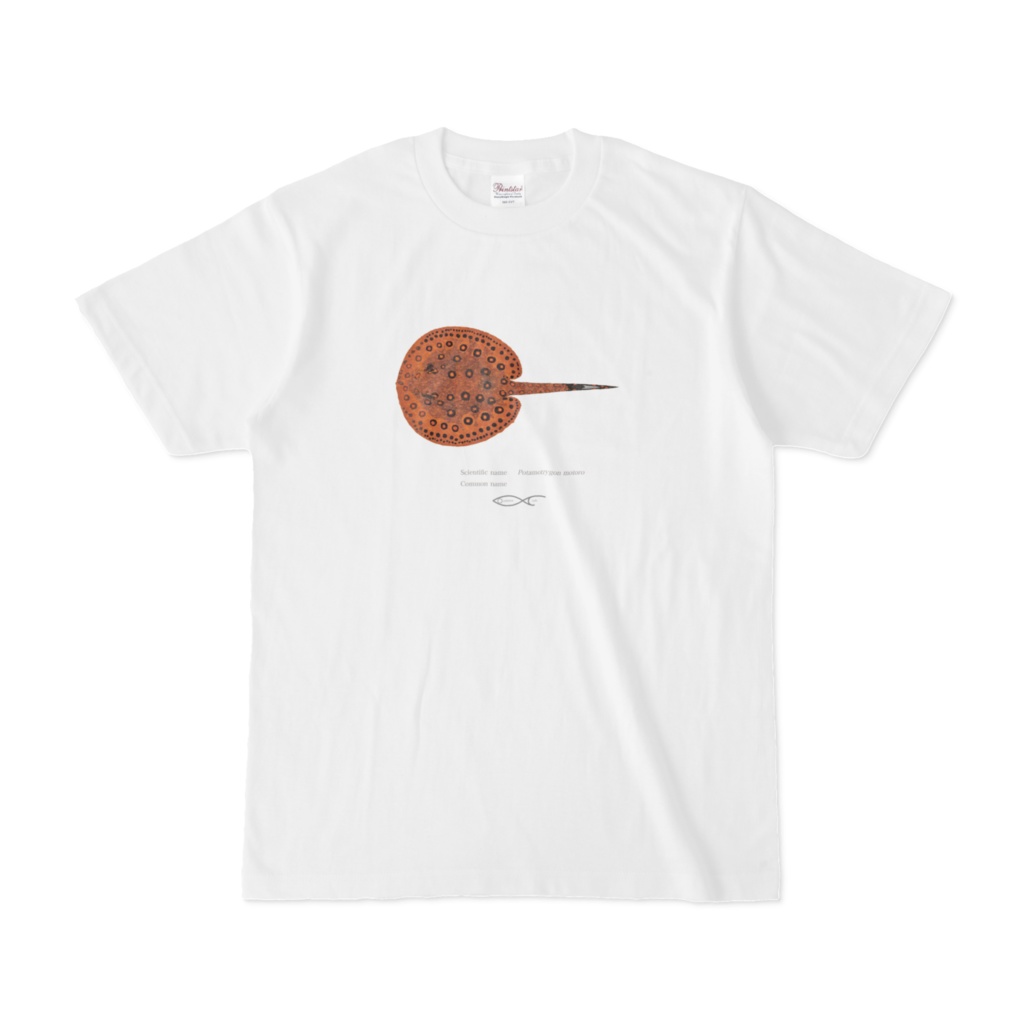 Osakanacraft T-shirt Potamotrygon motoro