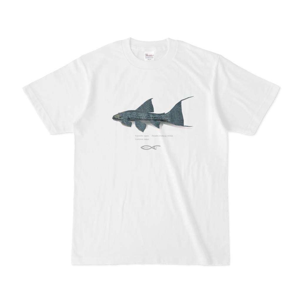 Osakanacraft T-shirt Pseudacanthicus histrix