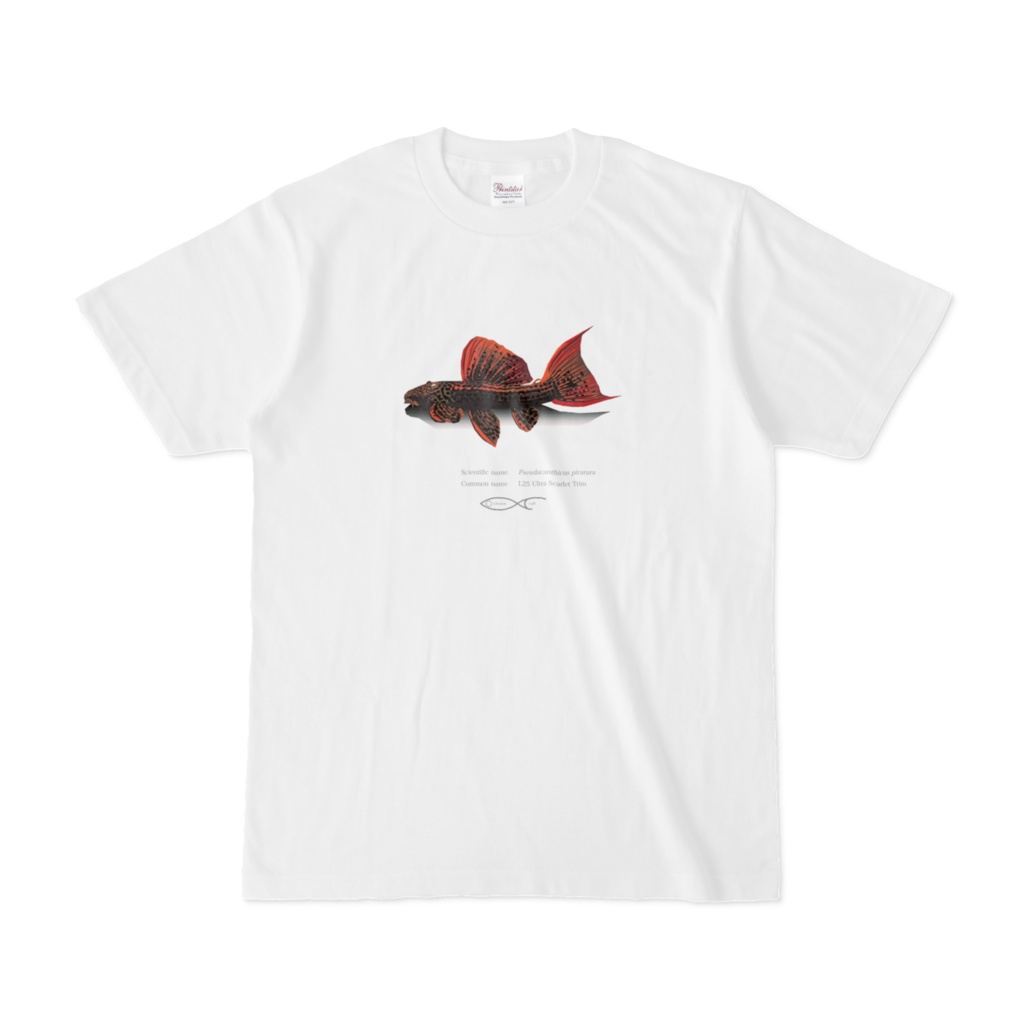 Osakanacraft T-shirt Pseudacanthicus pirarara (L25 Ultra Scarlet Trim)