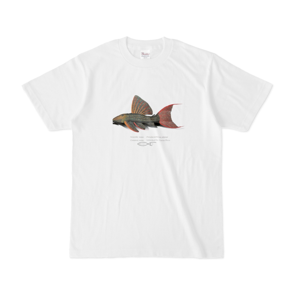 Osakanacraft T-shirt Pseudacanthicus pitanga(L024)