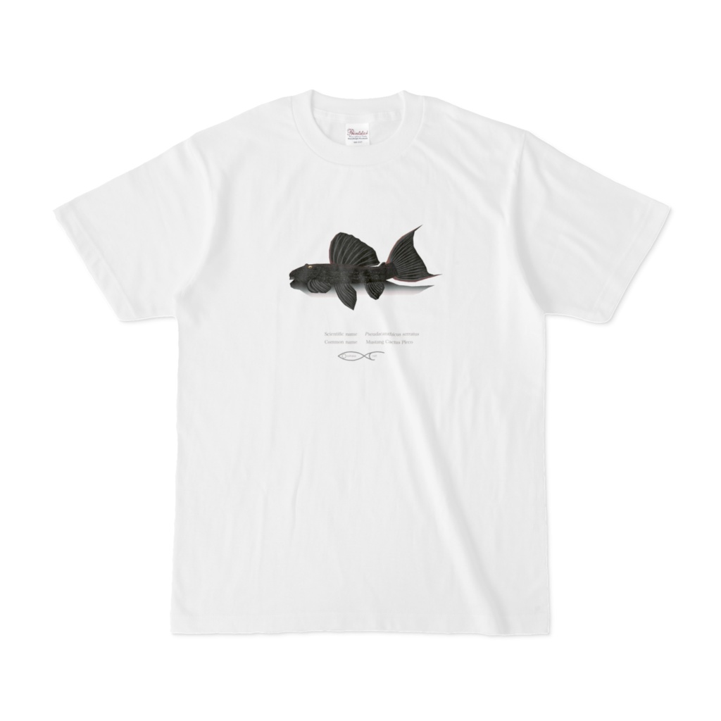 Osakanacraft T-shirt Pseudacanthicus Serratus