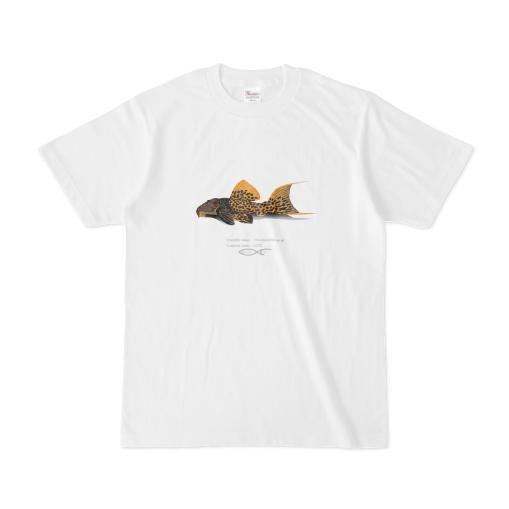 Osakanacraft T-shirt Pseudacanthicus sp. (L273) 
