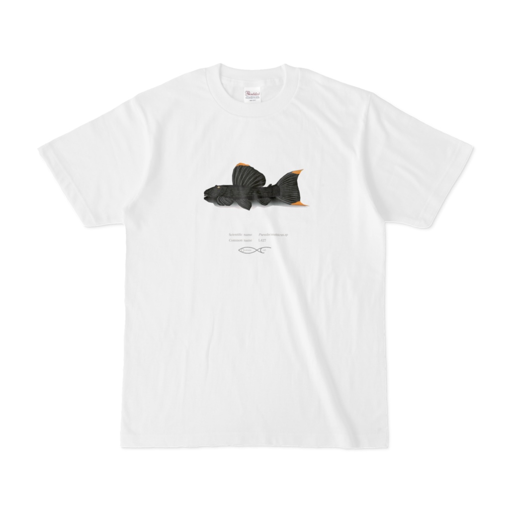 Osakanacraft T-shirt  Pseudacanthicus sp. (L427) 