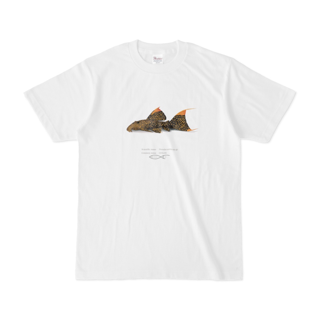 Osakanacraft T-shirt Pseudacanthicus sp. (LDA105) 