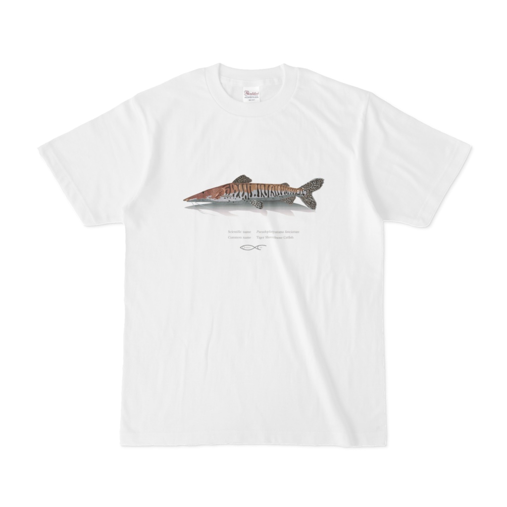 Osakanacraft T-shirt Pseudoplatystoma fasciatum