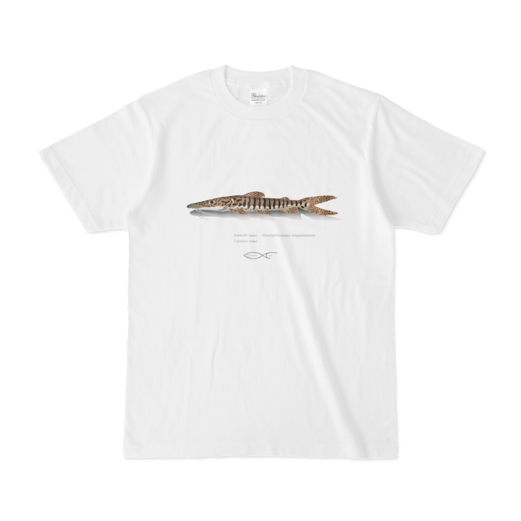 Osakanacraft T-shirt Pseudoplatystoma magdaleniatum