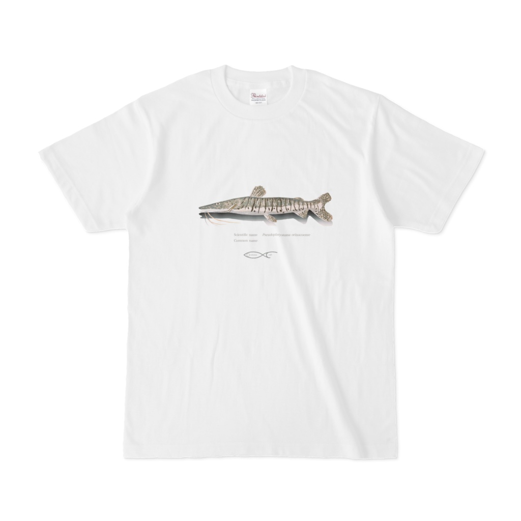Osakanacraft T-shirt Pseudoplatystoma orinocoense