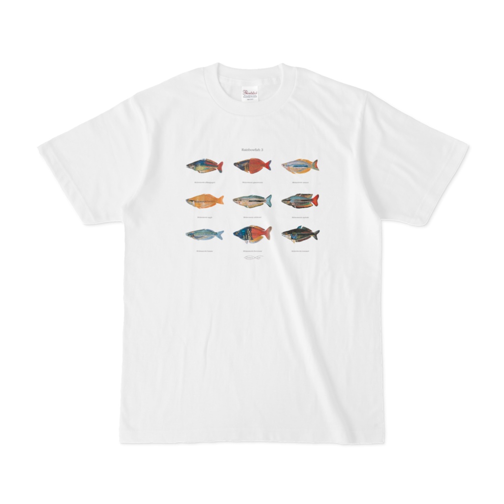 Osakanacraft T-shirt Rainbowfish 3