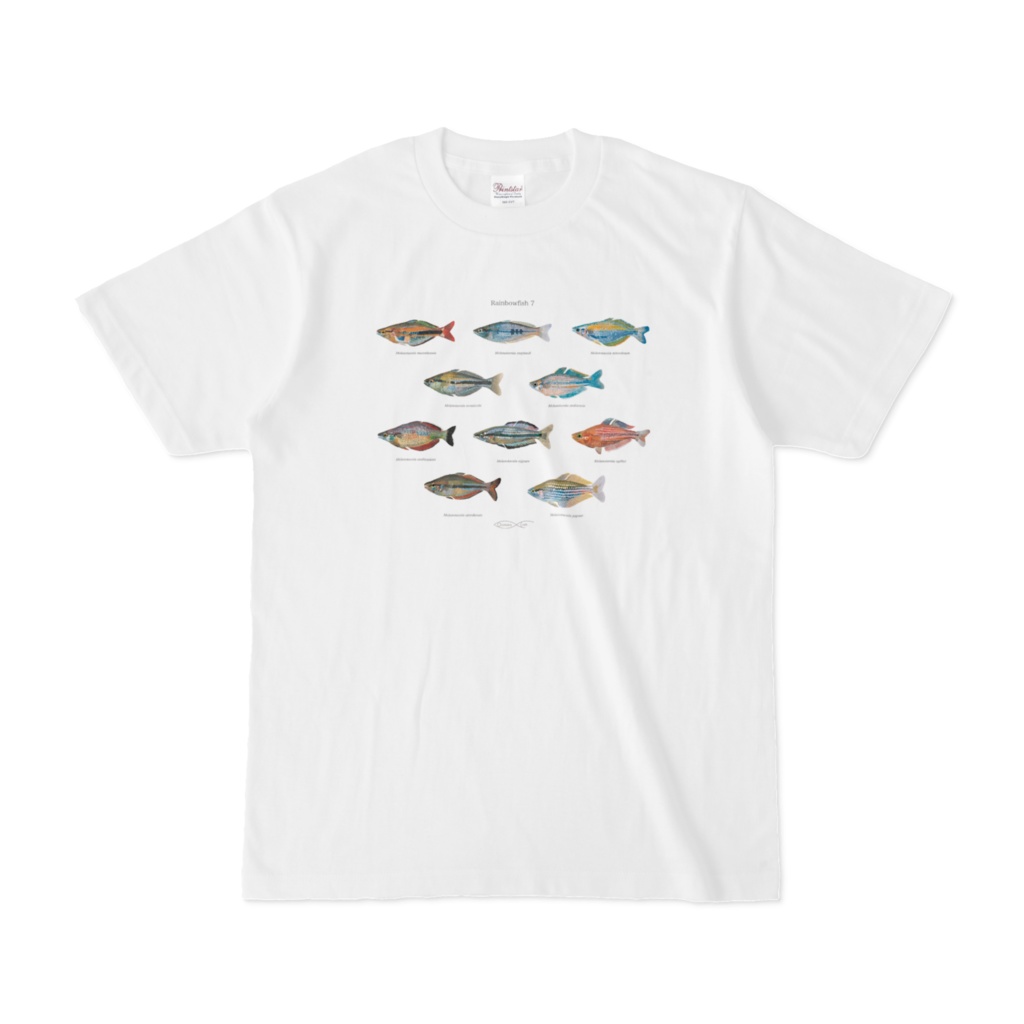 Osakanacraft T-shirt Rainbowfish 7