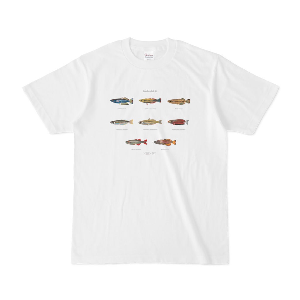 Osakanacraft T-shirt Rainbowfish 10