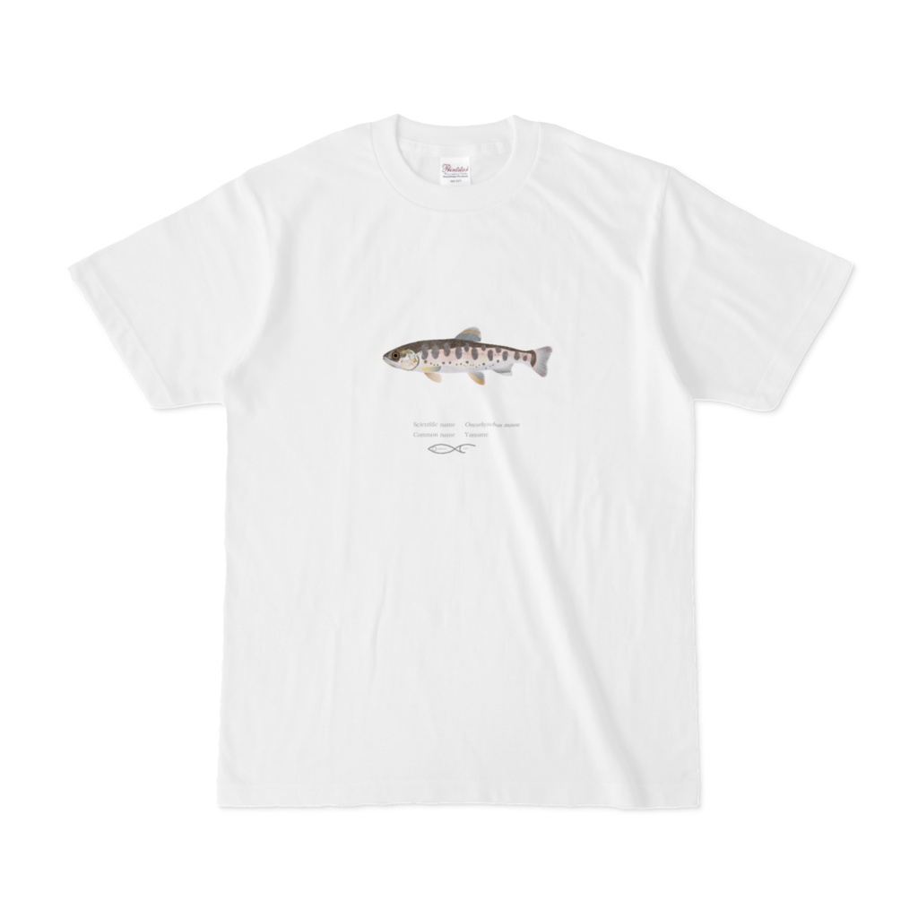 Osakanacraft T-shirt Salmonidae Oncorhynchus masou(Yamame)