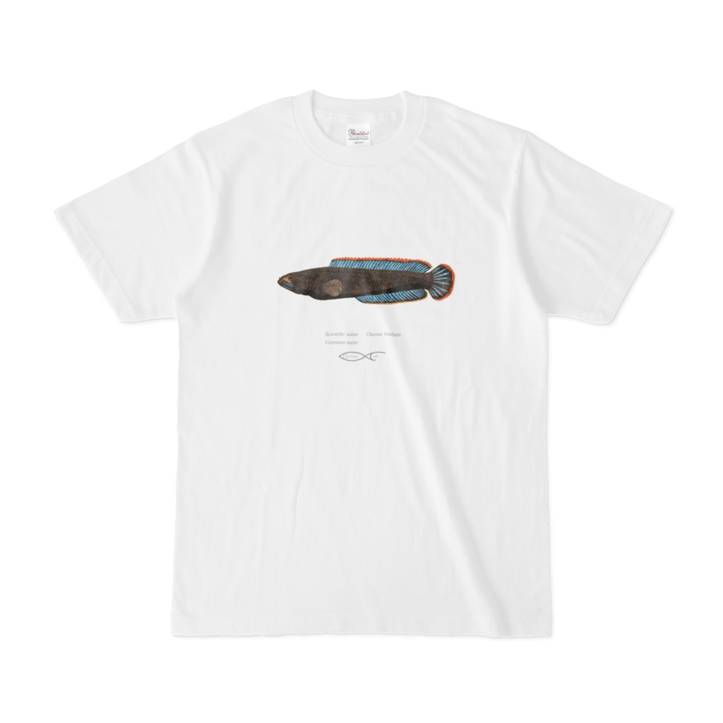 Osakanacraft T-shirt Snakehead Channa limbata