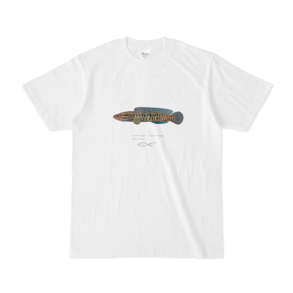 Osakanacraft T-shirt Snakehead Channa maculata