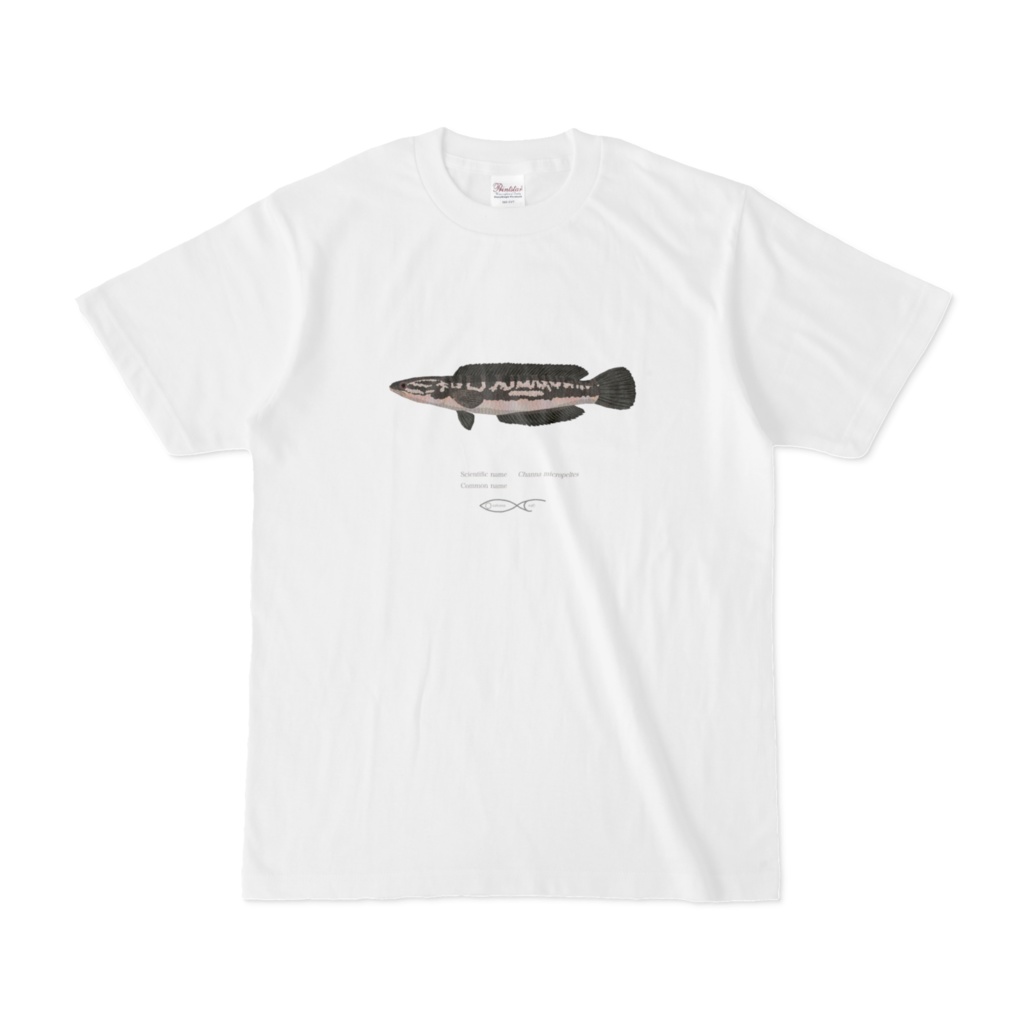 Osakanacraft T-shirt Snakehead Channa micropeltes
