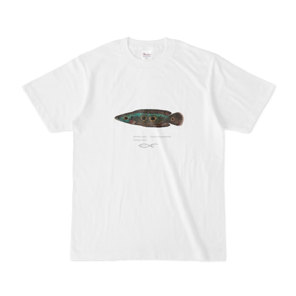 Osakanacraft T-shirt Snakehead Channa pleurophthalma