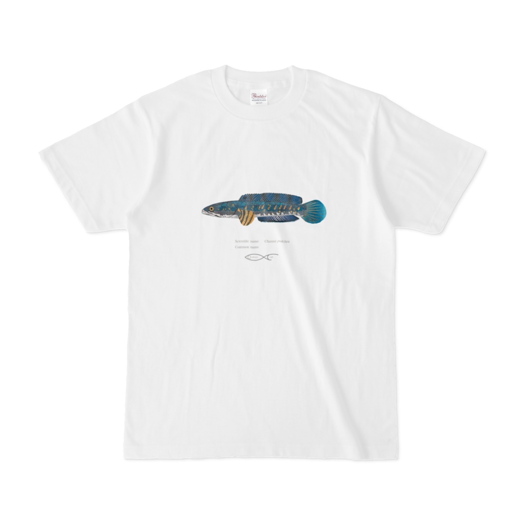 Osakanacraft T-shirt Snakehead Channa pulchra