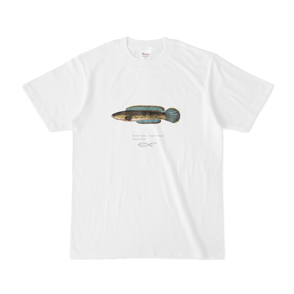 Osakanacraft T-shirt Snakehead Channa stewartii