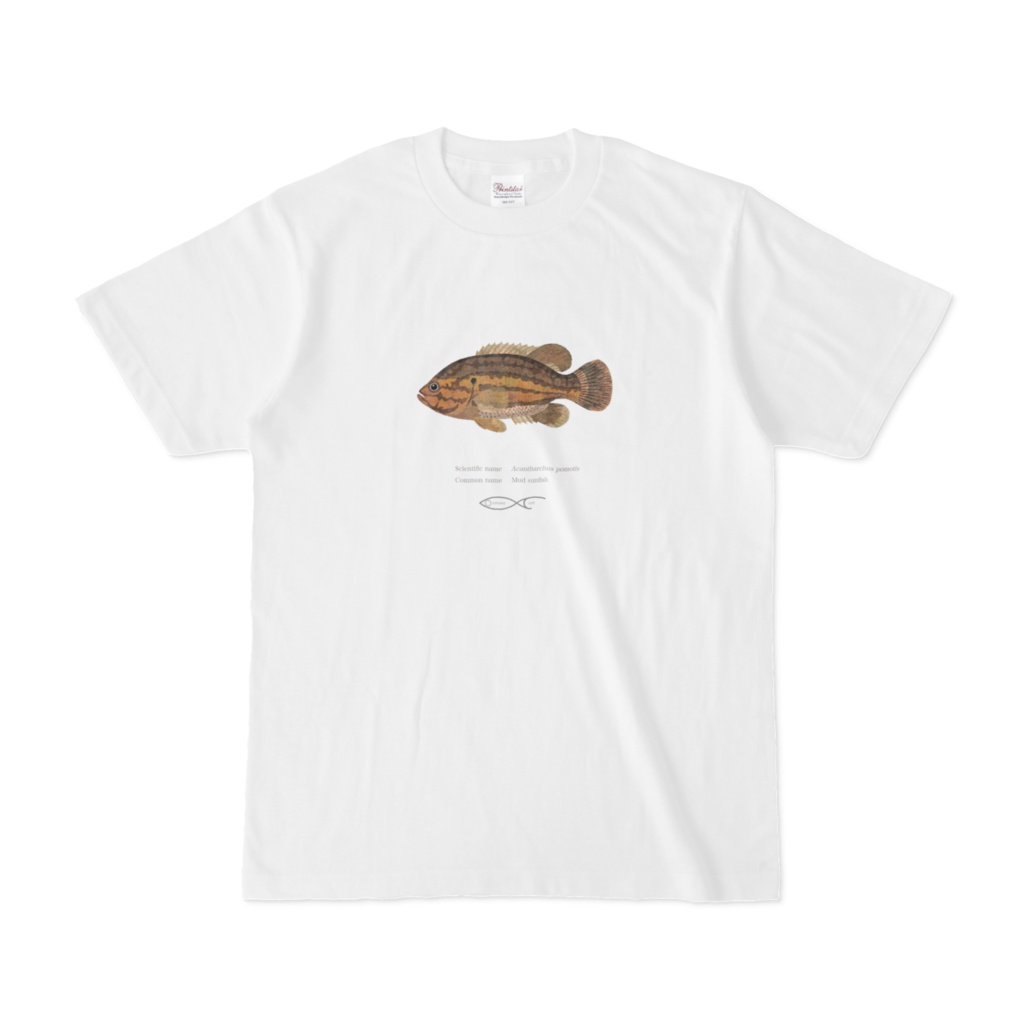 Osakanacraft T-shirt Sunfish Acantharchus pomotis（Mud sunfish）
