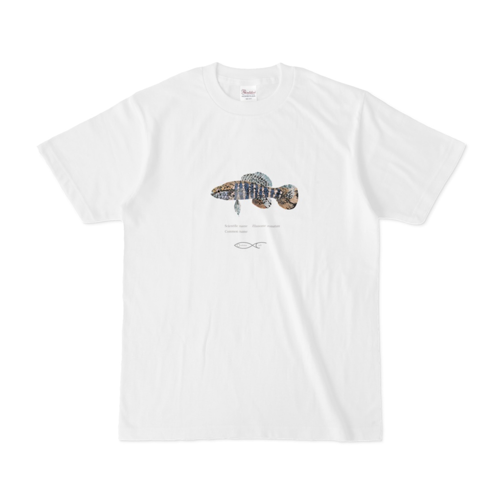 Osakanacraft T-shirt Sunfish Elassome zonatum