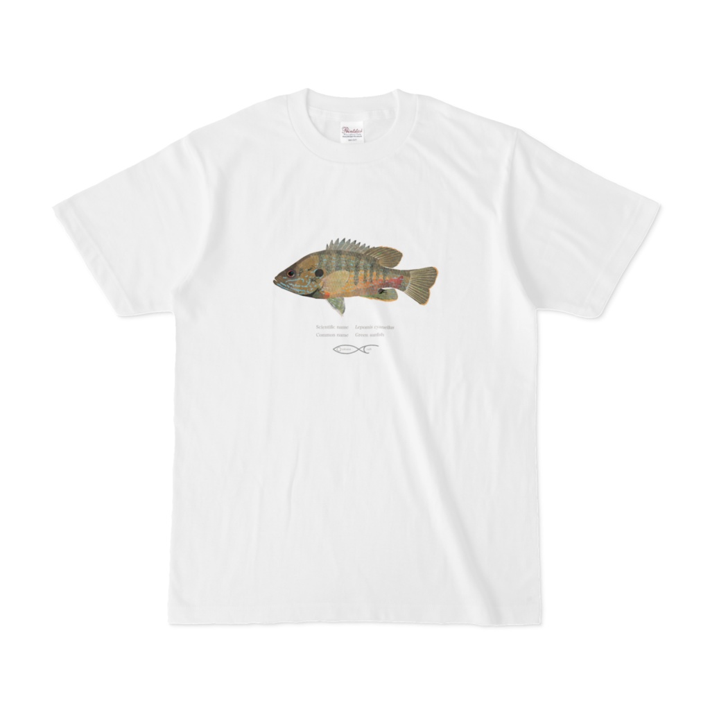 Osakanacraft T-shirt Sunfish Lepomis cyanellus（Green sunfish）