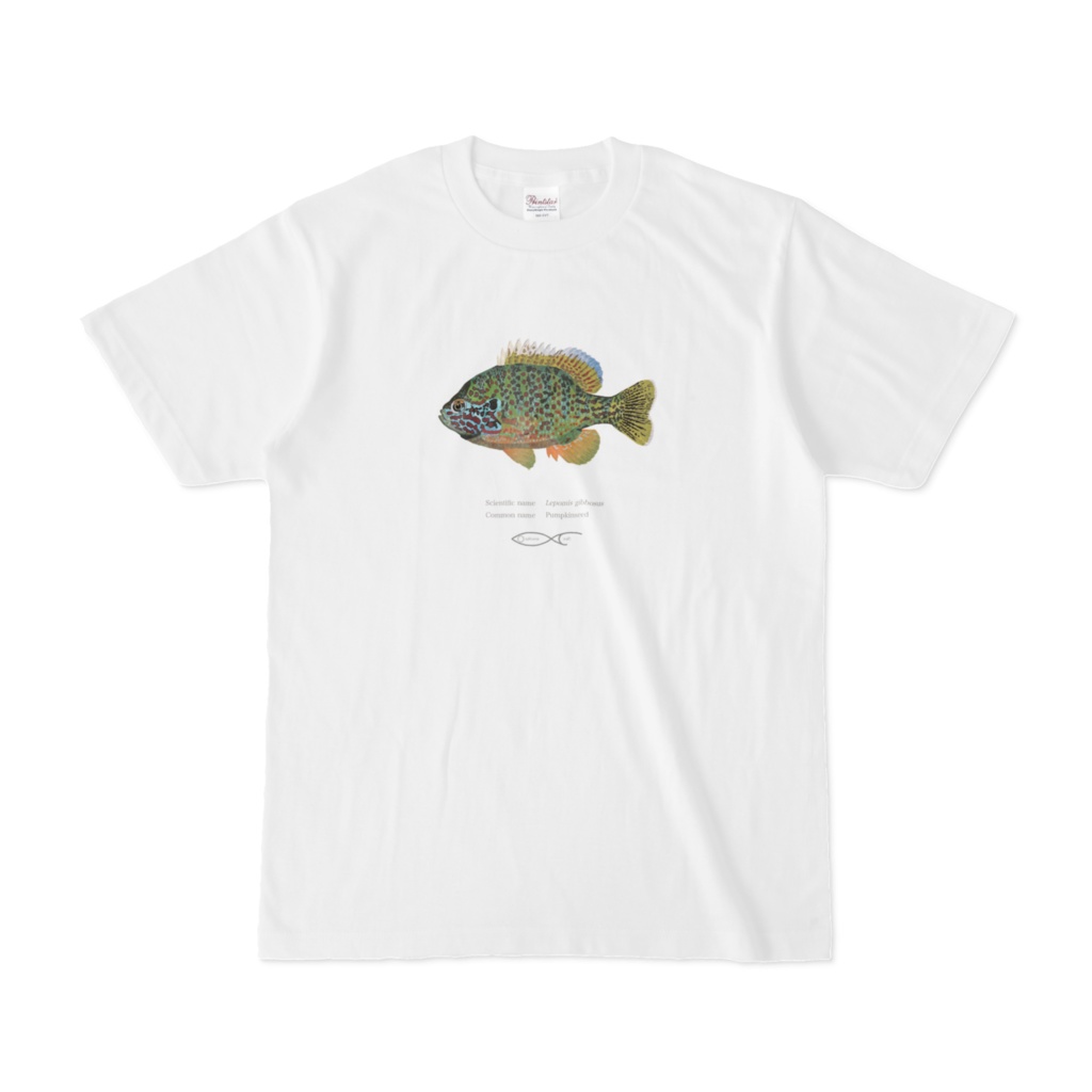 Osakanacraft T-shirt Sunfish Lepomis gibbosus（Pumpkinseed）