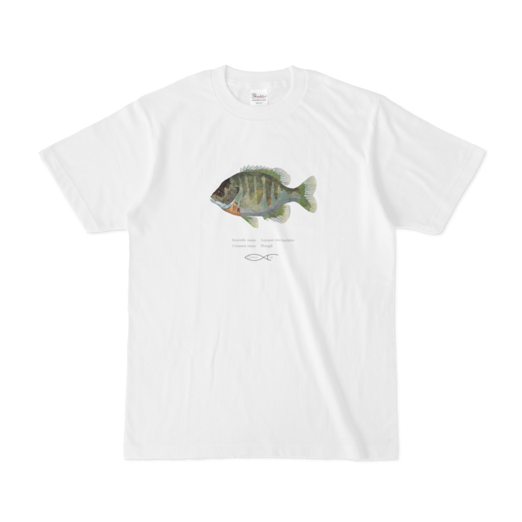 Osakanacraft T-shirt Sunfish Lepomis macrochirus（Bluegill）