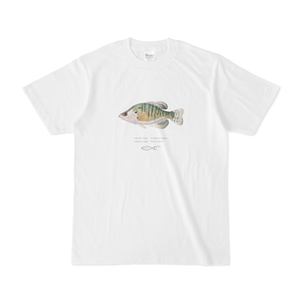 Osakanacraft T-shirt Sunfish Pomoxis annularis(White crappie)