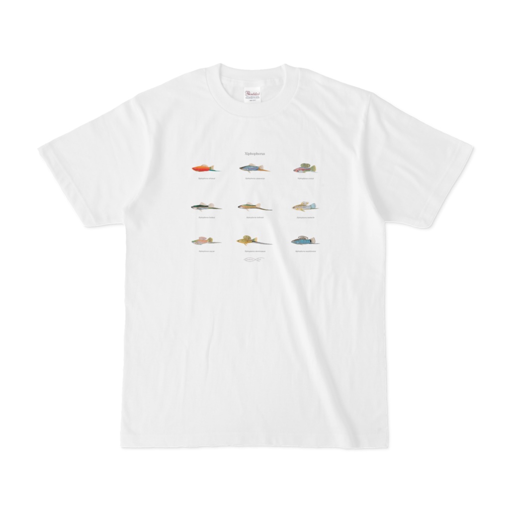 Osakanacraft T-shirt Xiphophorus（Swordtails）