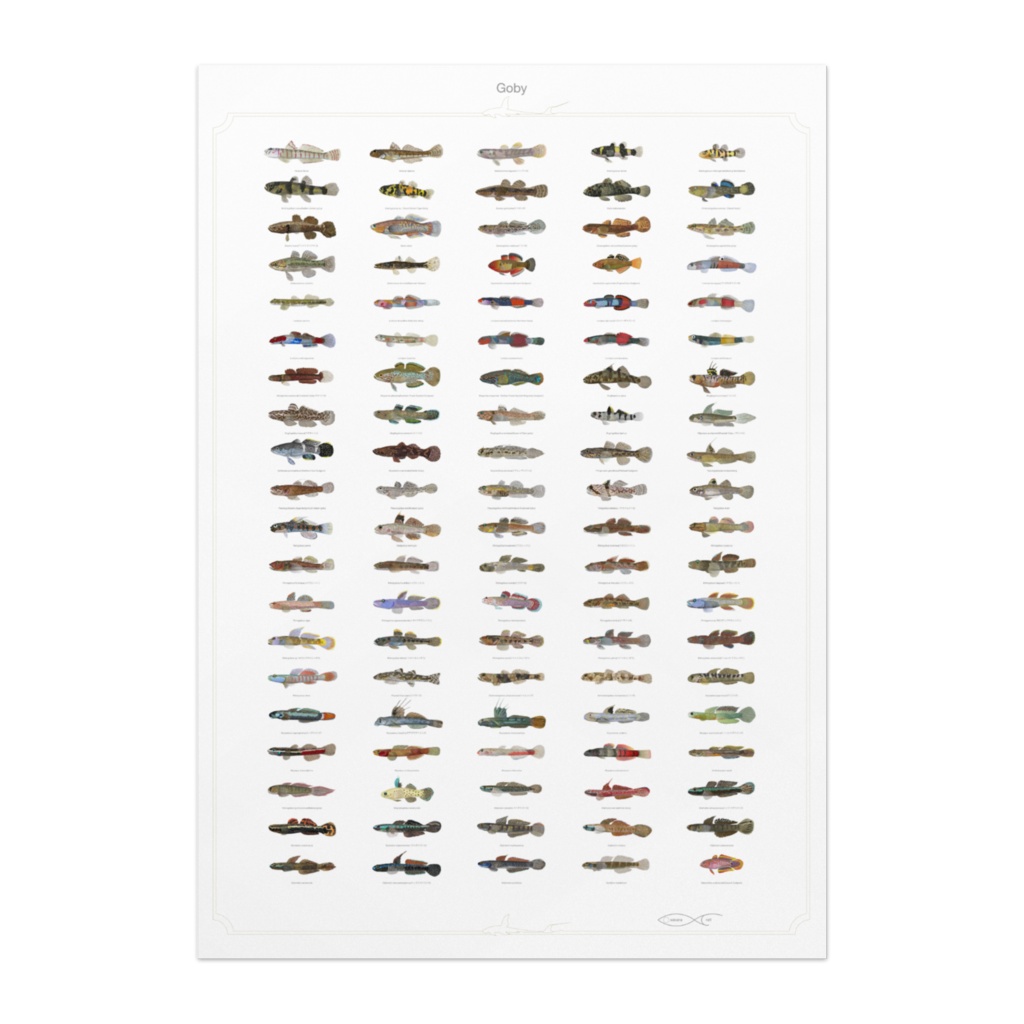 Osakanacraft A1 Drawing Poster Goby