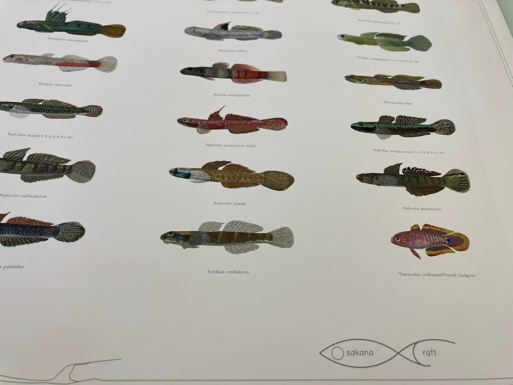 Osakanacraft A1 Drawing Poster Goby