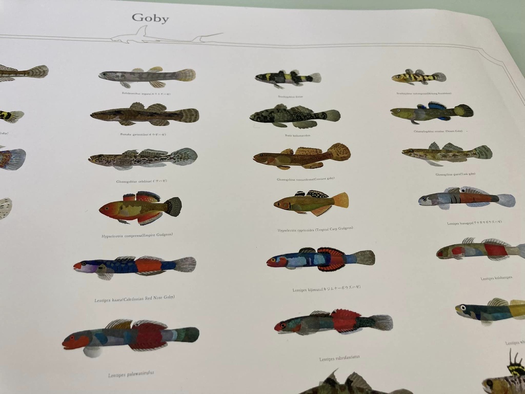 Osakanacraft A1 Drawing Poster Goby