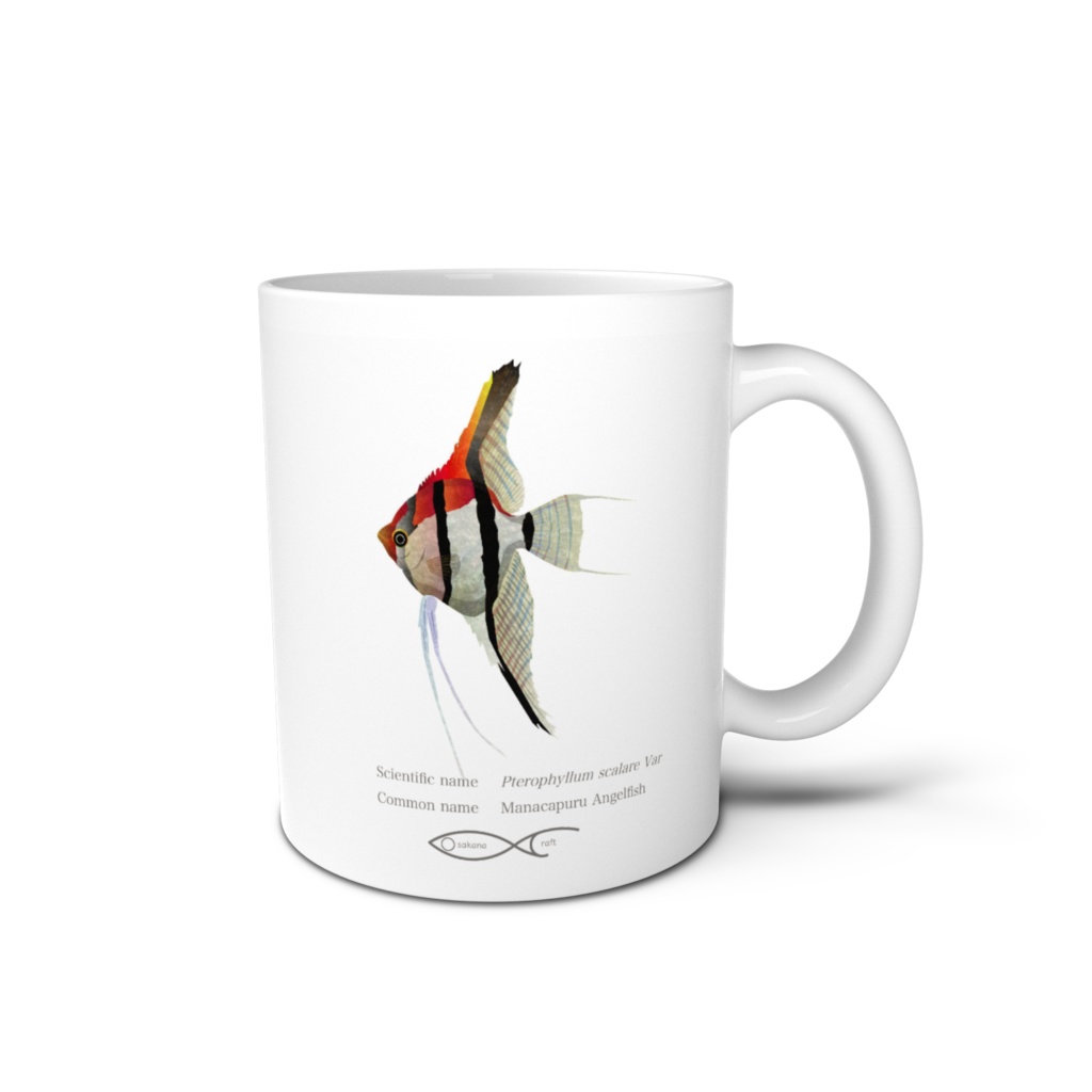 Osakanacraft Mug Angelfish Pterophyllum （ Manacapuru　Angelfish）