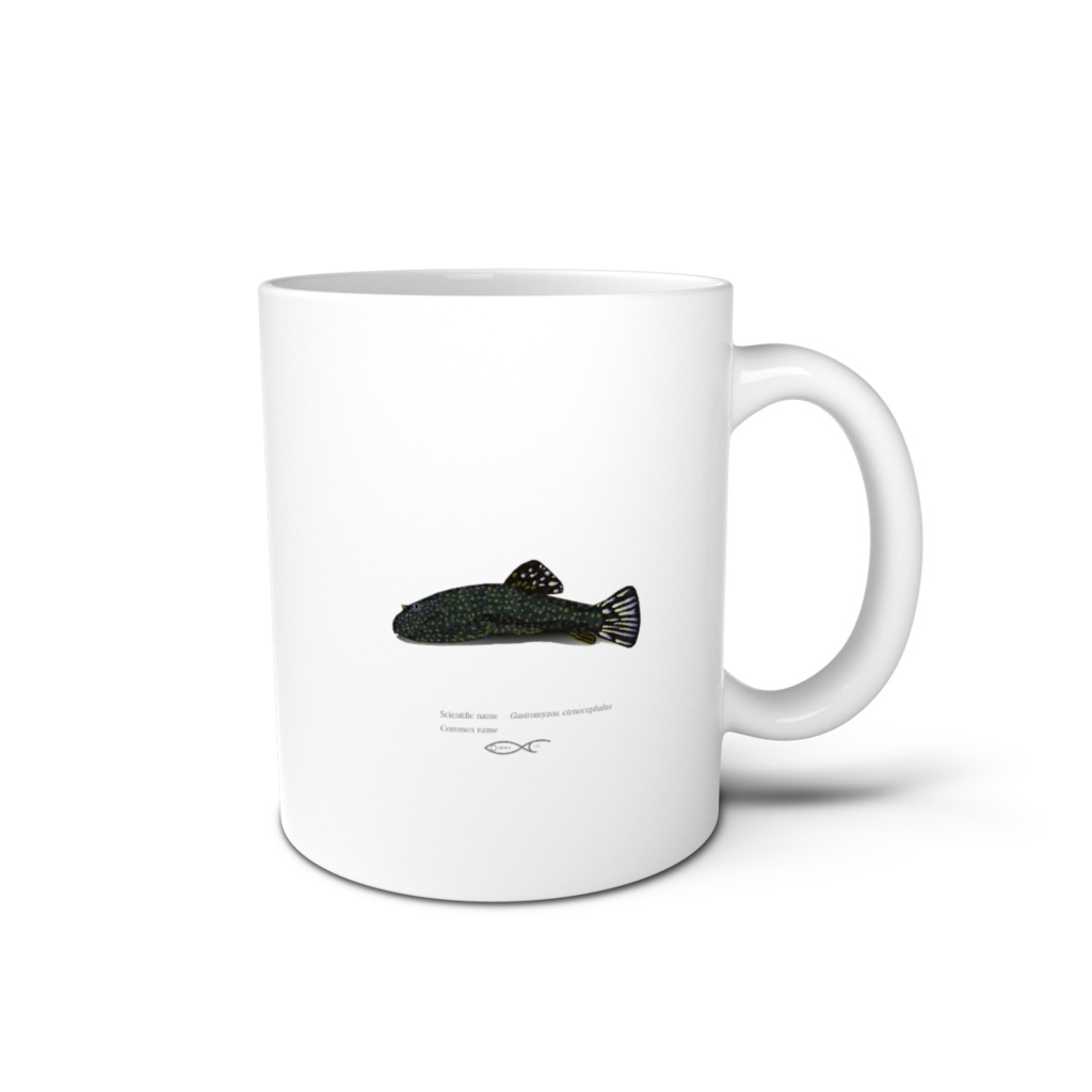 Osakanacraft Mug Balitoridae Gastromyzon ctenocephalus