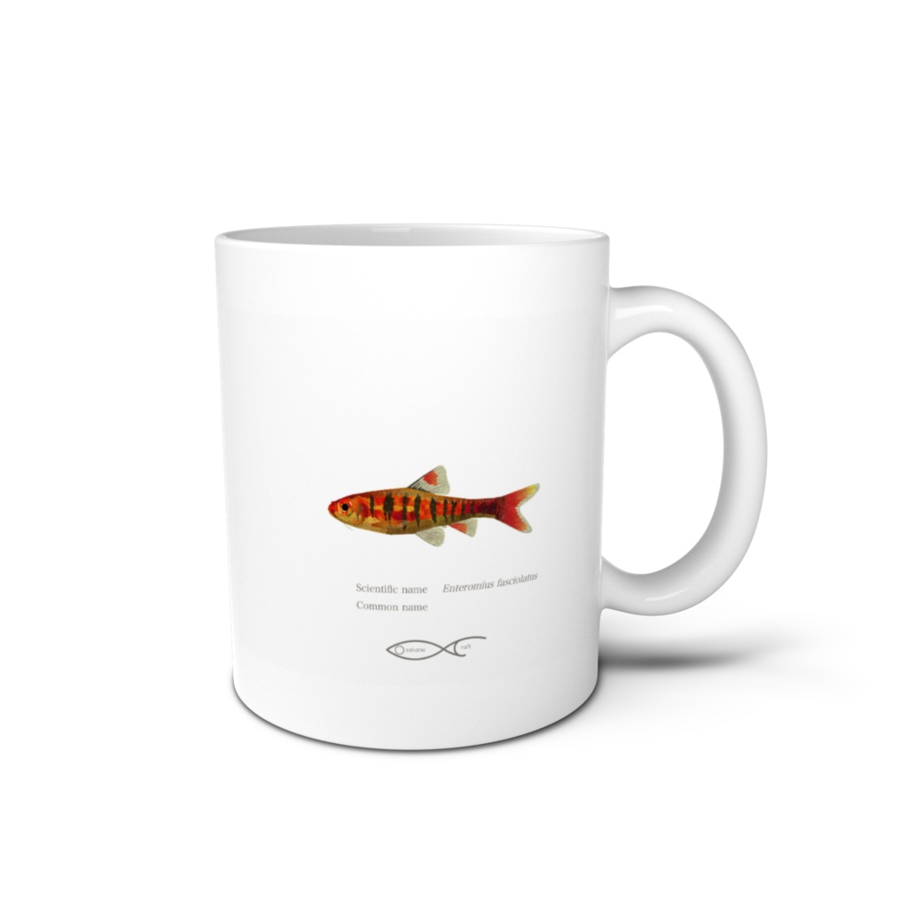 Osakanacraft Mug Barb Enteromius fasciolatus