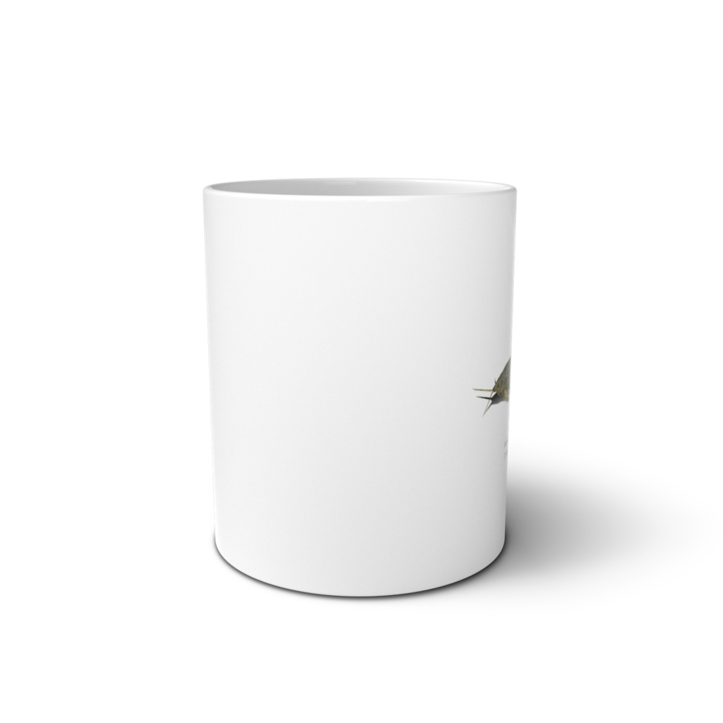 Osakanacraft Mug Callichthyinae Callichthys callichthys